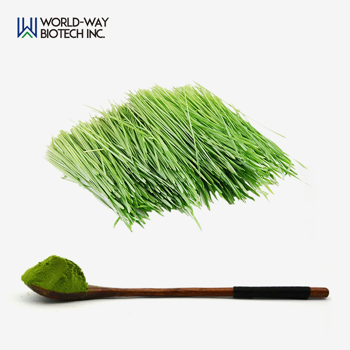 Barley Grass Extract Barley Grass Extract